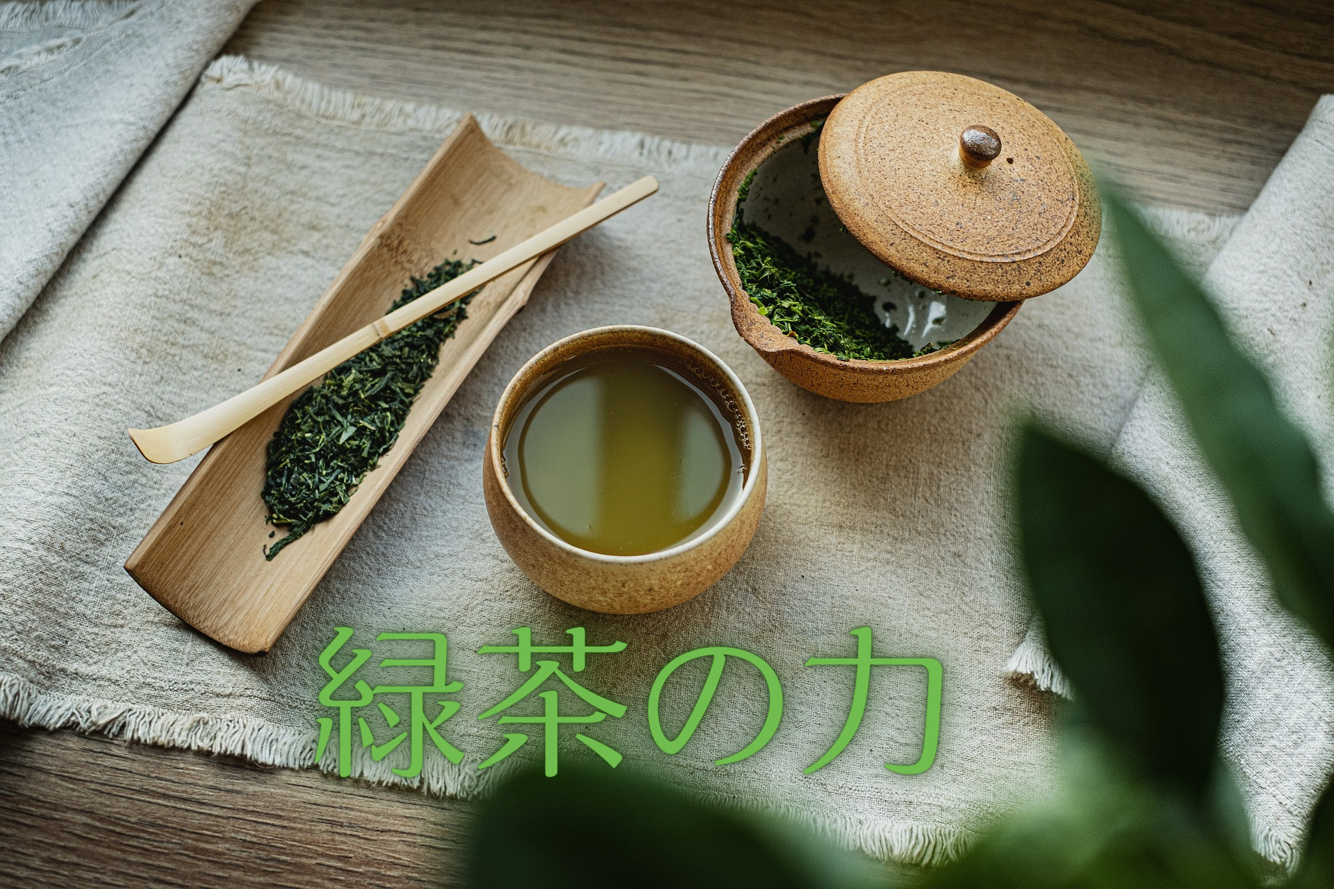 緑茶の力　